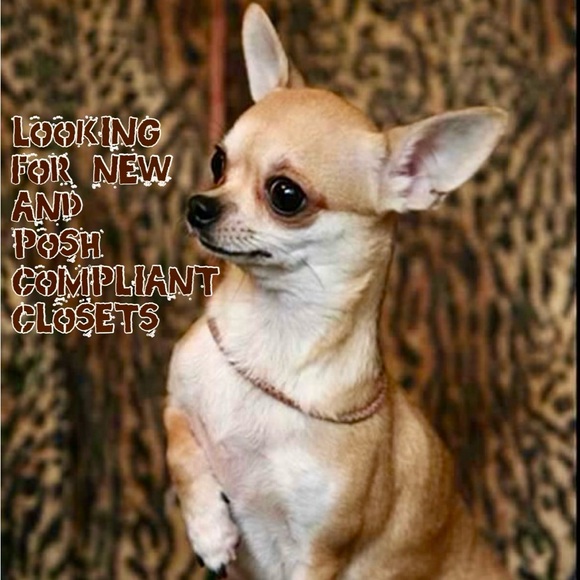 Everything Pets Party 5/7 6pm CST - Picture 3 of 3